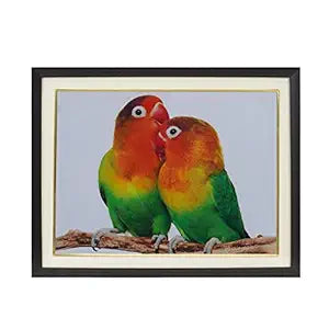Parrot Couple For Relationship
