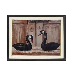 Swan Pair For Couple Relationship