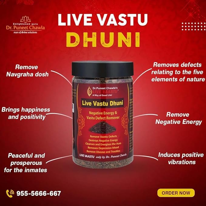 Live Vaastu Dhuni