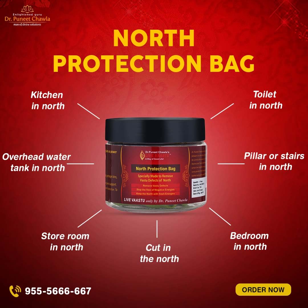 NORTH PROTECTION BAG