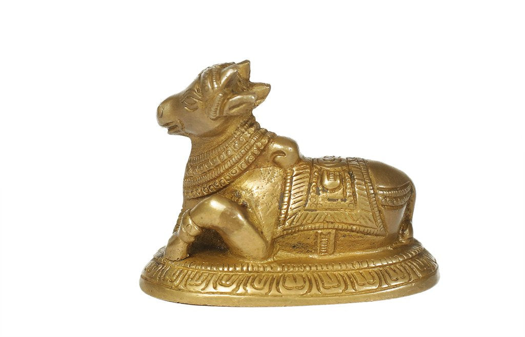 Live Vastu Nandi