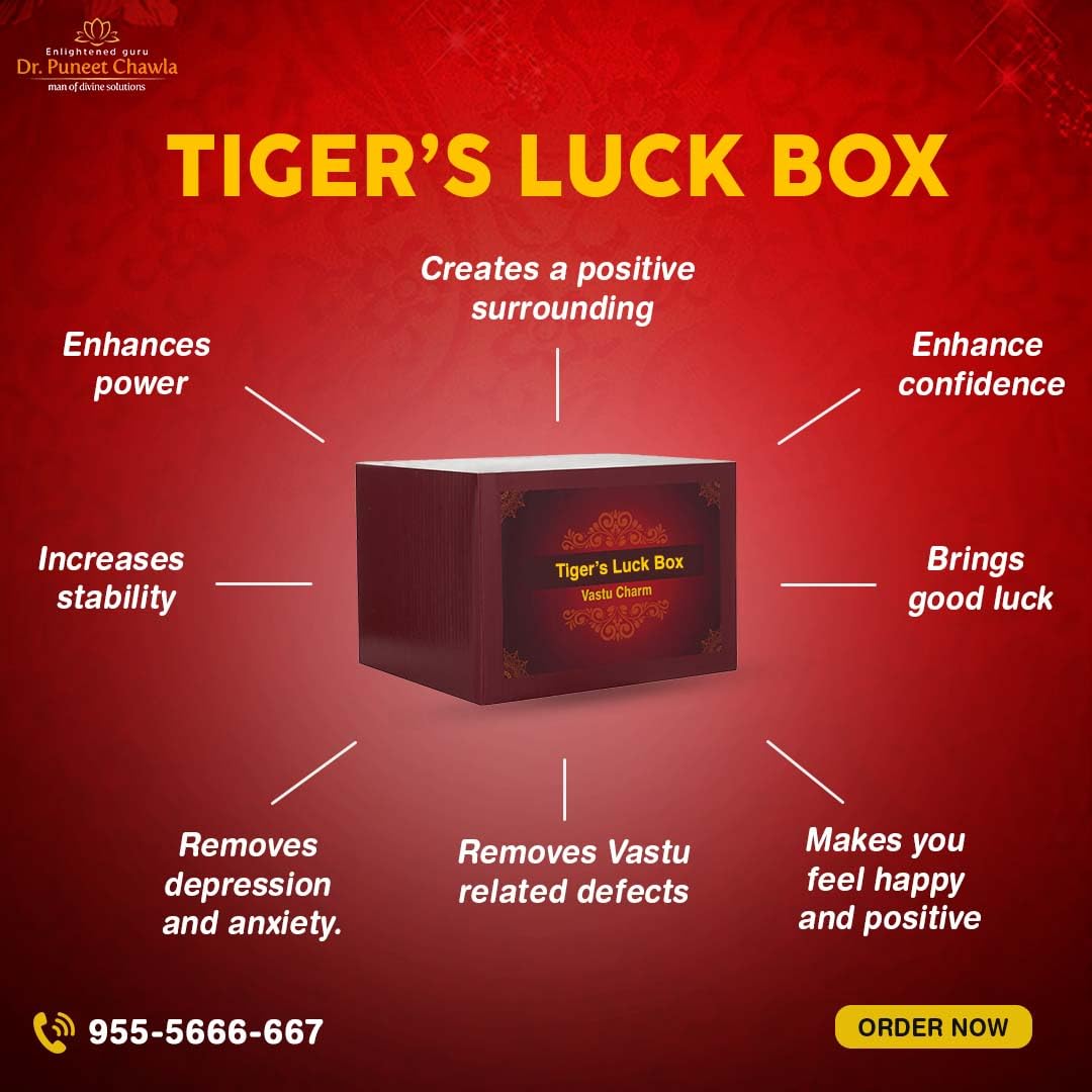 TIGER’S LUCK BOX