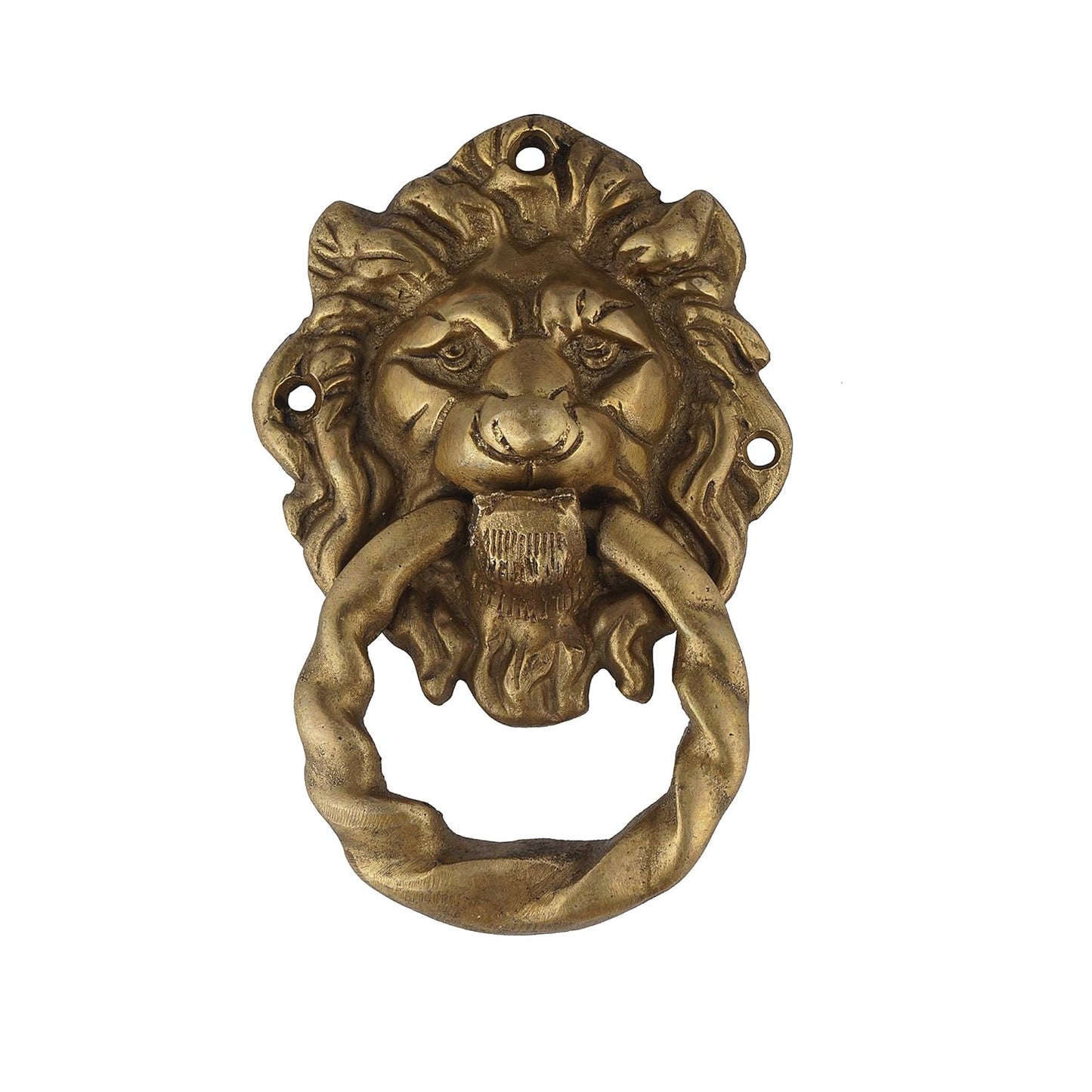 Lion door knocker
