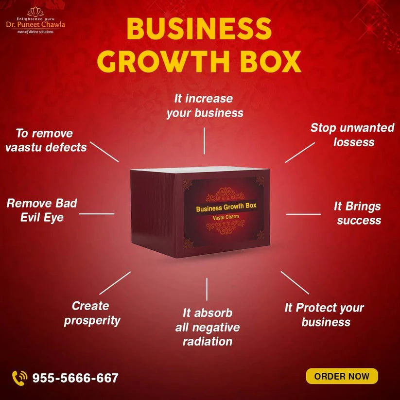 Business Growth Box