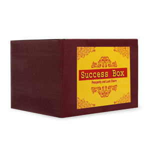 Success Box