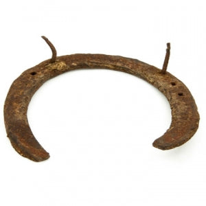 Black Horse Shoe