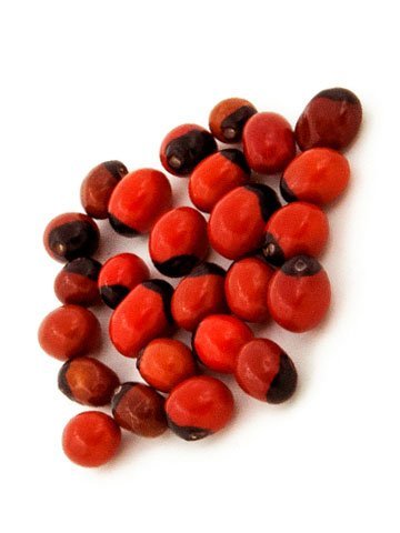 Sacred Chirmi Seeds
