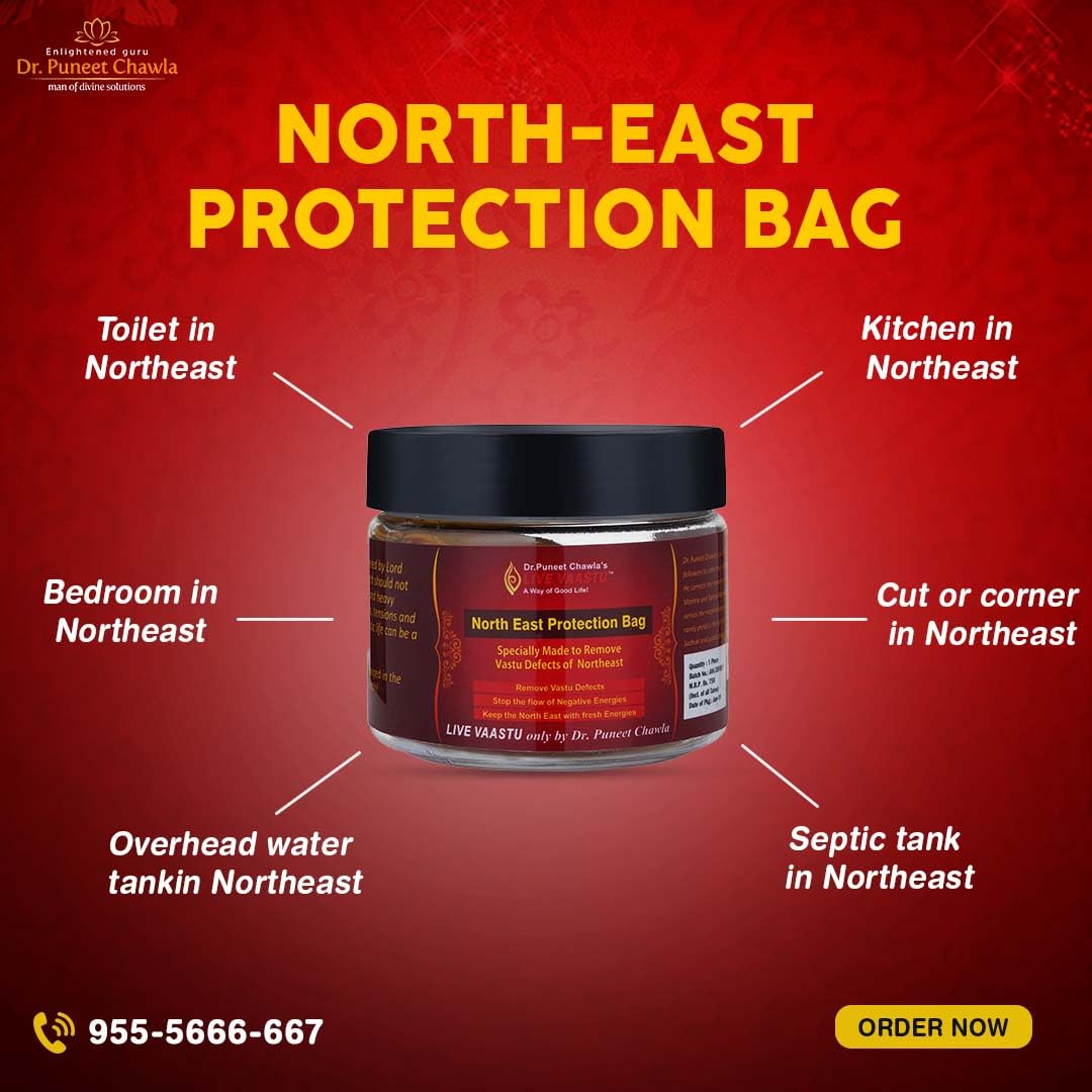 NORTH-EAST PROTECTION BAG