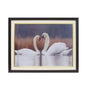 Swan Pair For Couple Relationship