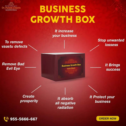 Business Growth Box